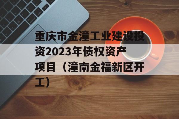 重庆市金潼工业建设投资2023年债权资产项目（潼南金福新区开工）