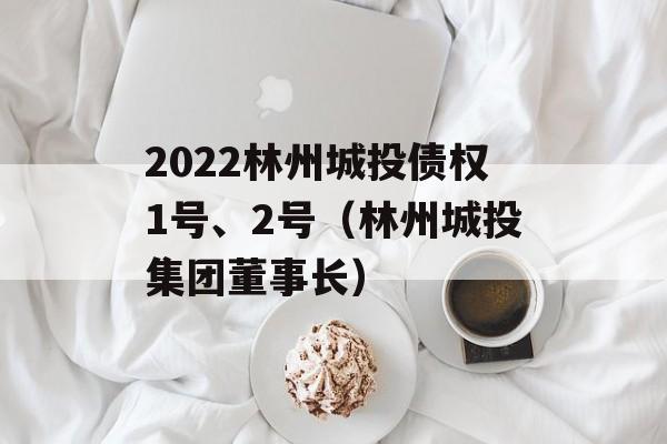 2022林州城投债权1号、2号（林州城投集团董事长）