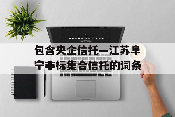 包含央企信托—江苏阜宁非标集合信托的词条