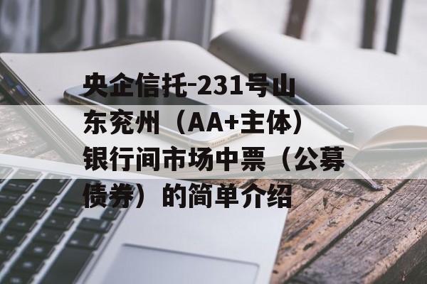 央企信托-231号山东兖州（AA+主体）银行间市场中票（公募债券）的简单介绍