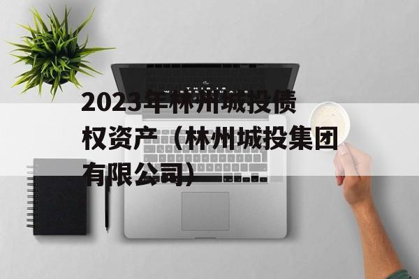 2023年林州城投债权资产（林州城投集团有限公司）