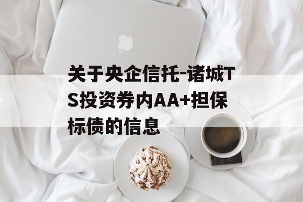 关于央企信托-诸城TS投资券内AA+担保标债的信息