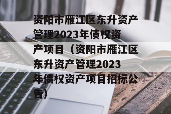 资阳市雁江区东升资产管理2023年债权资产项目（资阳市雁江区东升资产管理2023年债权资产项目招标公告）