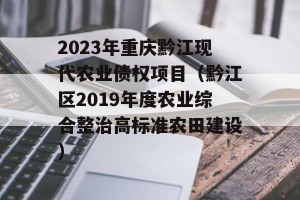 2023年重庆黔江现代农业债权项目（黔江区2019年度农业综合整治高标准农田建设）