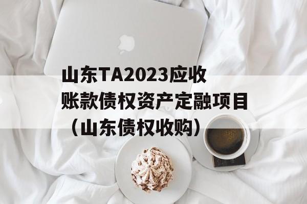 山东TA2023应收账款债权资产定融项目（山东债权收购）