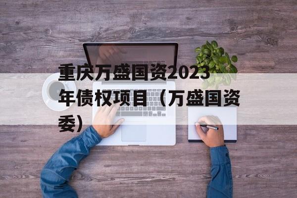 重庆万盛国资2023年债权项目（万盛国资委）