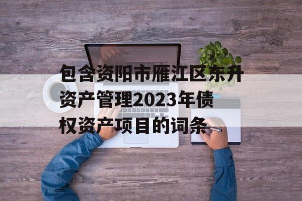 包含资阳市雁江区东升资产管理2023年债权资产项目的词条