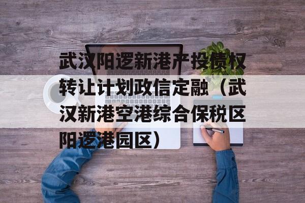 武汉阳逻新港产投债权转让计划政信定融（武汉新港空港综合保税区阳逻港园区）