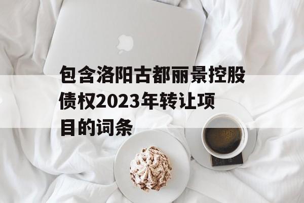 包含洛阳古都丽景控股债权2023年转让项目的词条