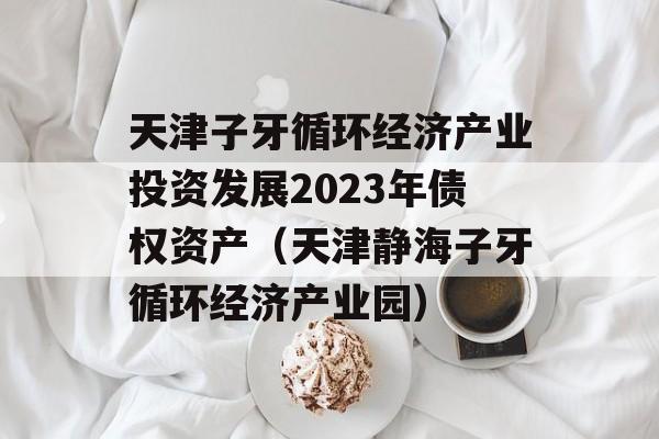 天津子牙循环经济产业投资发展2023年债权资产（天津静海子牙循环经济产业园）