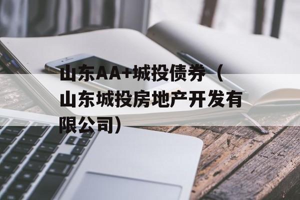 山东AA+城投债券（山东城投房地产开发有限公司）