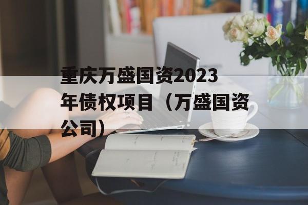 重庆万盛国资2023年债权项目（万盛国资公司）