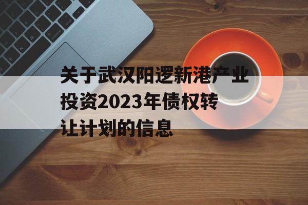 关于武汉阳逻新港产业投资2023年债权转让计划的信息