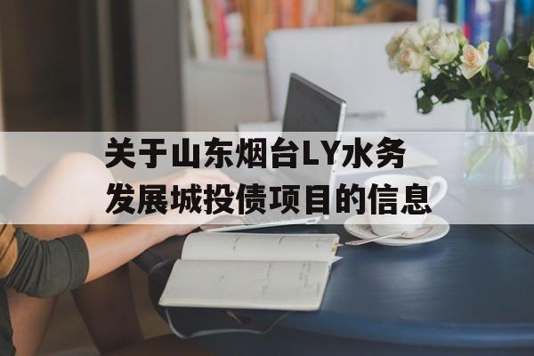 关于山东烟台LY水务发展城投债项目的信息