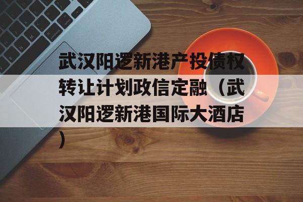 武汉阳逻新港产投债权转让计划政信定融（武汉阳逻新港国际大酒店）