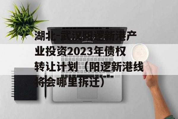 湖北-武汉阳逻新港产业投资2023年债权转让计划（阳逻新港线将会哪里拆迁）