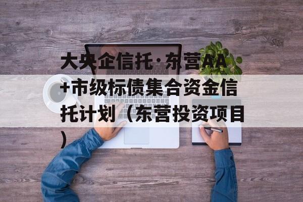 大央企信托·东营AA+市级标债集合资金信托计划（东营投资项目）