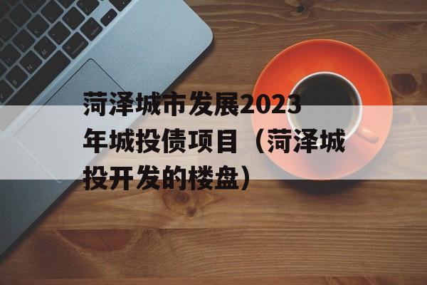 菏泽城市发展2023年城投债项目（菏泽城投开发的楼盘）