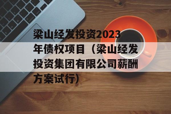 梁山经发投资2023年债权项目（梁山经发投资集团有限公司薪酬方案试行）