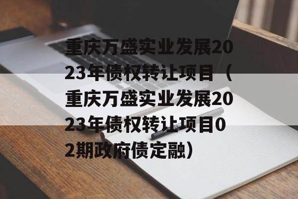 重庆万盛实业发展2023年债权转让项目（重庆万盛实业发展2023年债权转让项目02期政府债定融）