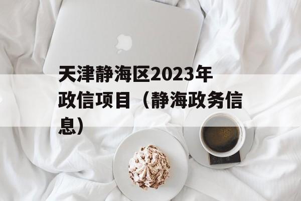 天津静海区2023年政信项目（静海政务信息）