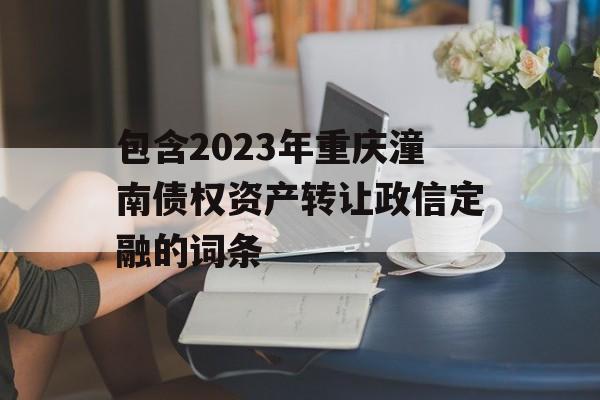 包含2023年重庆潼南债权资产转让政信定融的词条