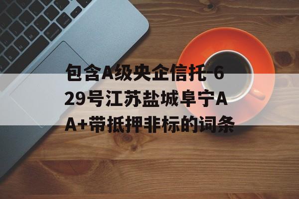 包含A级央企信托-629号江苏盐城阜宁AA+带抵押非标的词条