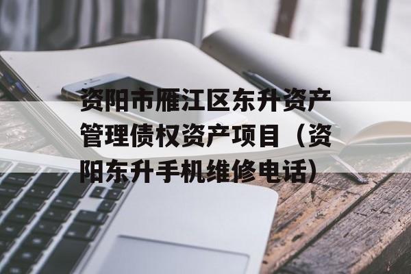 资阳市雁江区东升资产管理债权资产项目（资阳东升手机维修电话）