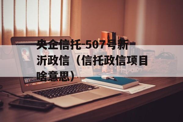 央企信托-507号新沂政信（信托政信项目啥意思）