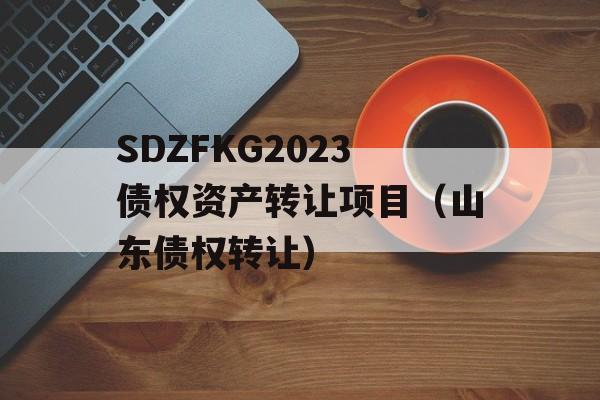 SDZFKG2023债权资产转让项目（山东债权转让）