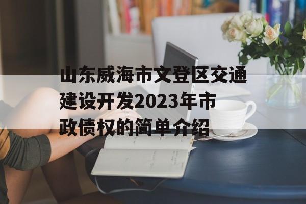 山东威海市文登区交通建设开发2023年市政债权的简单介绍