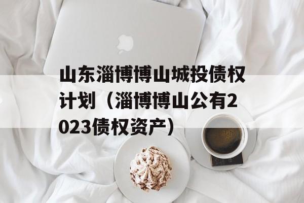 山东淄博博山城投债权计划（淄博博山公有2023债权资产）