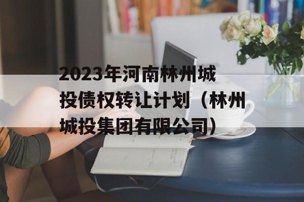 2023年河南林州城投债权转让计划（林州城投集团有限公司）