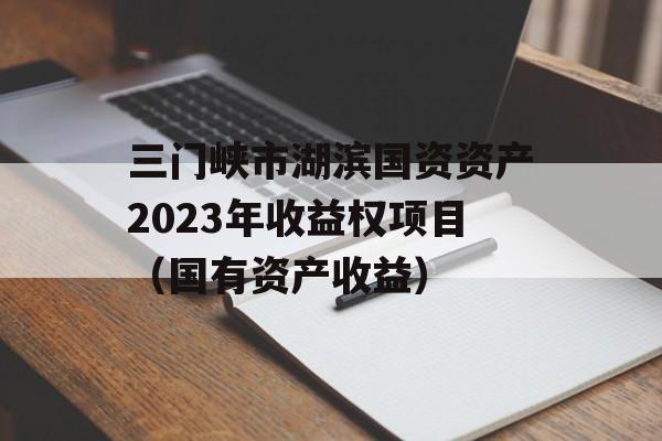 三门峡市湖滨国资资产2023年收益权项目（国有资产收益）