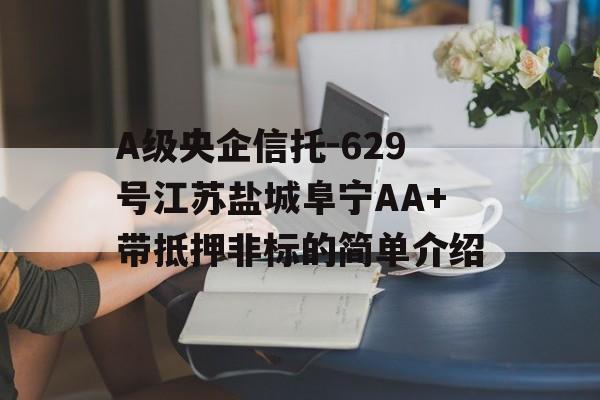 A级央企信托-629号江苏盐城阜宁AA+带抵押非标的简单介绍