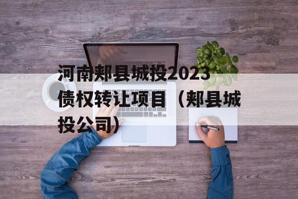 河南郏县城投2023债权转让项目（郏县城投公司）