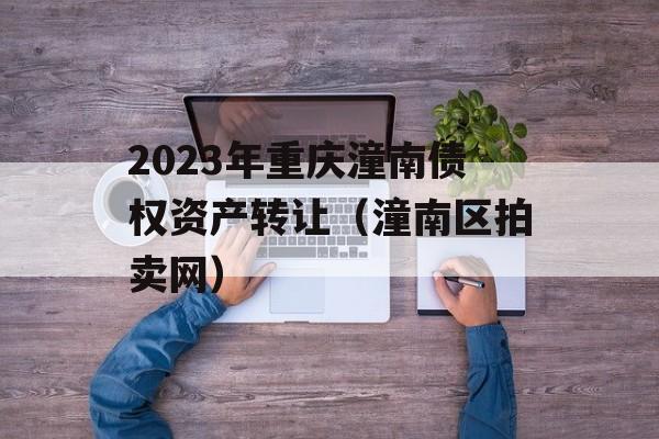 2023年重庆潼南债权资产转让（潼南区拍卖网）