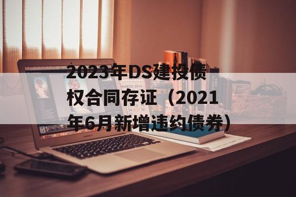 2023年DS建投债权合同存证（2021年6月新增违约债券）