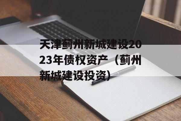 天津蓟州新城建设2023年债权资产（蓟州新城建设投资）