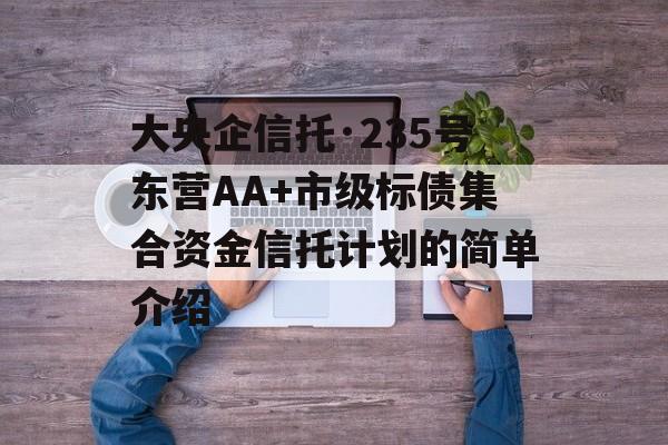 大央企信托·235号东营AA+市级标债集合资金信托计划的简单介绍