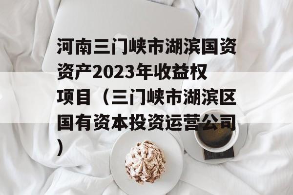 河南三门峡市湖滨国资资产2023年收益权项目（三门峡市湖滨区国有资本投资运营公司）