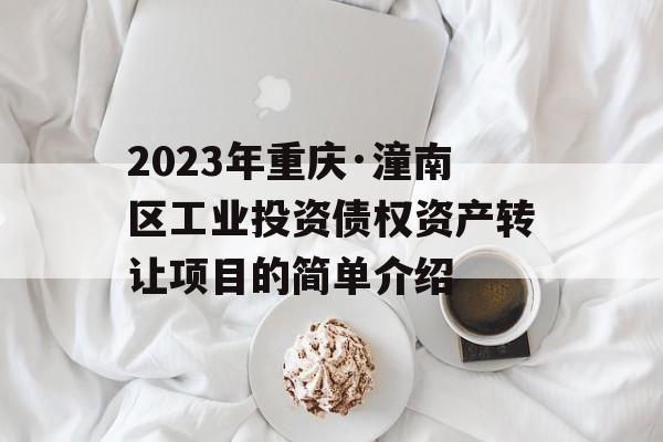 2023年重庆·潼南区工业投资债权资产转让项目的简单介绍