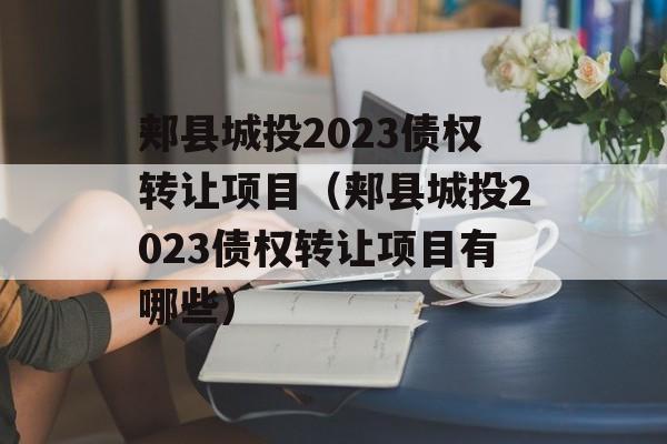 郏县城投2023债权转让项目（郏县城投2023债权转让项目有哪些）