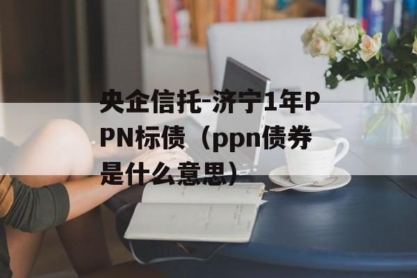 央企信托-济宁1年PPN标债（ppn债券是什么意思）