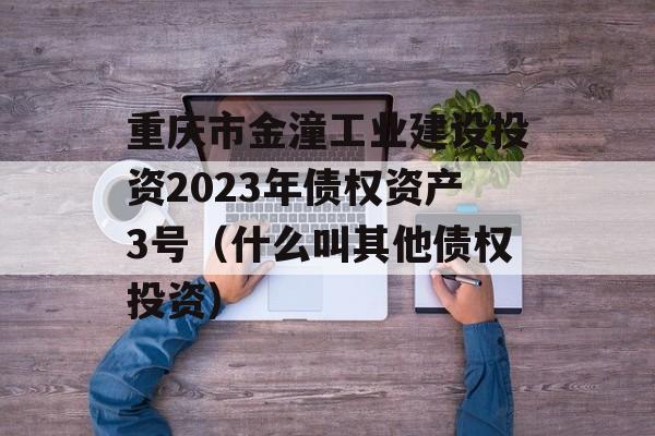 重庆市金潼工业建设投资2023年债权资产3号（什么叫其他债权投资）