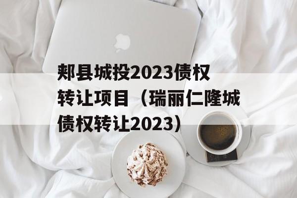 郏县城投2023债权转让项目（瑞丽仁隆城债权转让2023）