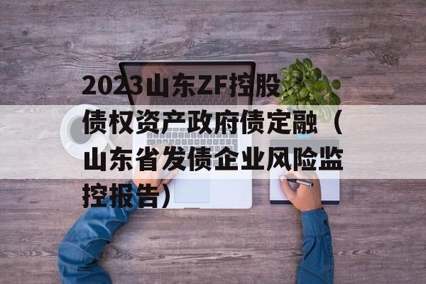 2023山东ZF控股债权资产政府债定融（山东省发债企业风险监控报告）