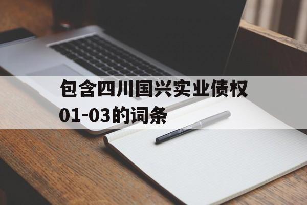 包含四川国兴实业债权01-03的词条