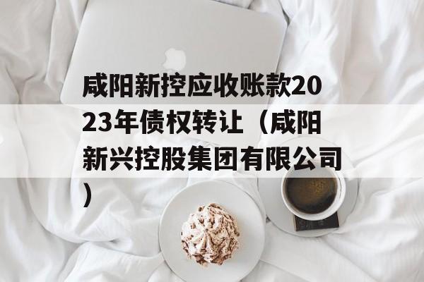 咸阳新控应收账款2023年债权转让（咸阳新兴控股集团有限公司）