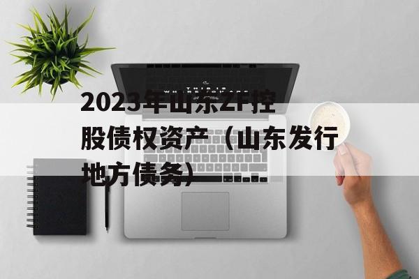 2023年山东ZF控股债权资产（山东发行地方债务）